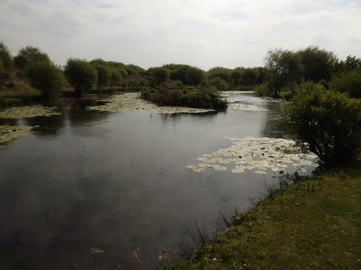 Вілла Marsh Water Ponds Fishery Kidwelly Екстер'єр фото