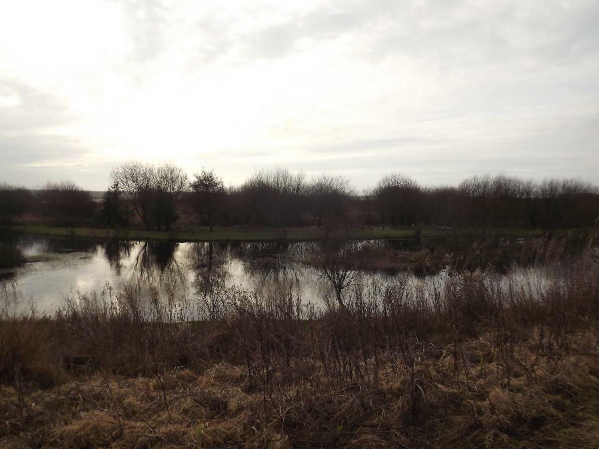 Вілла Marsh Water Ponds Fishery Kidwelly Екстер'єр фото